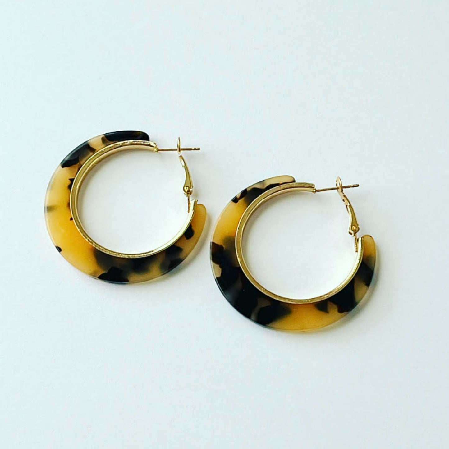 Feline Hoops